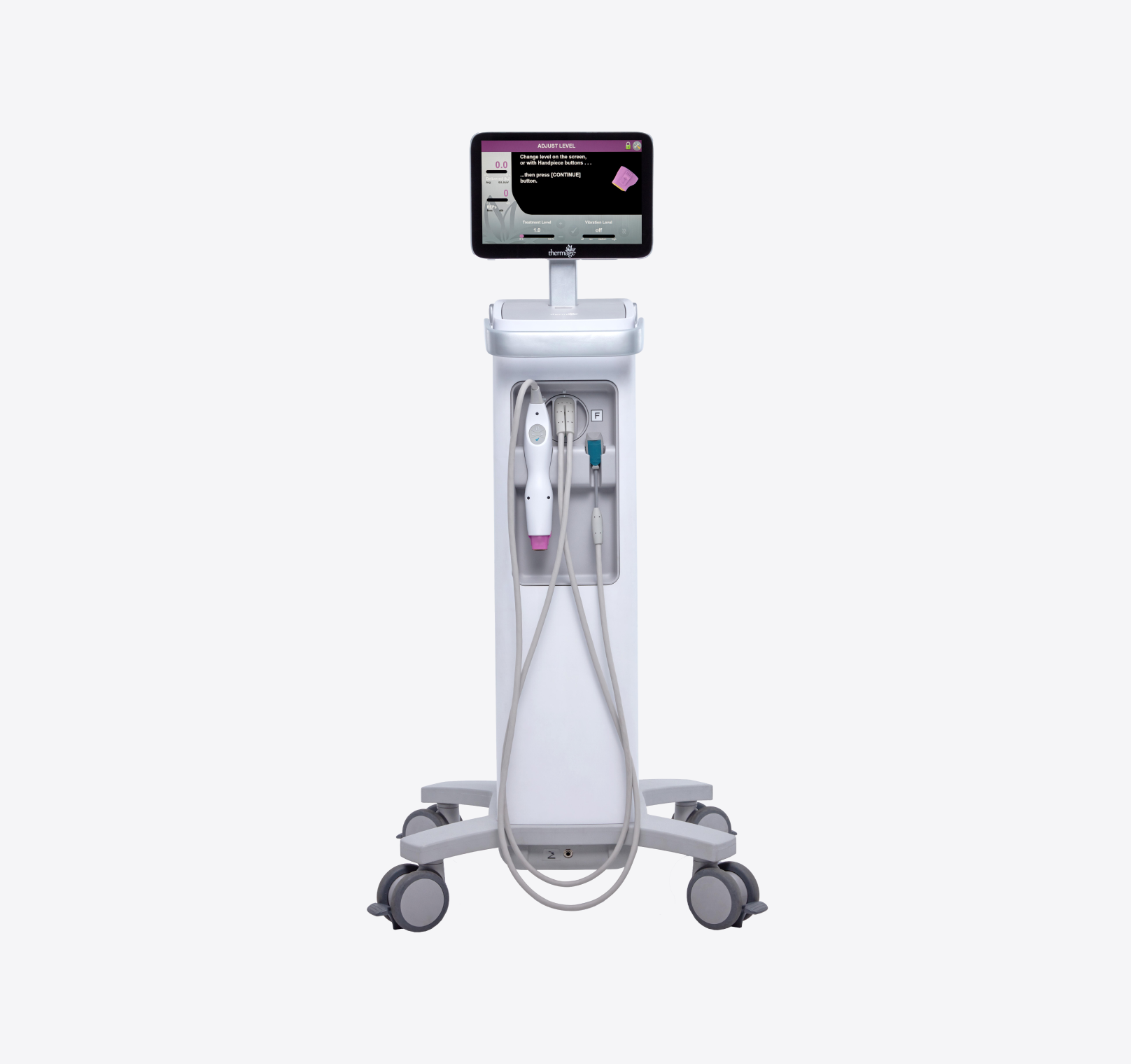 THERMAGE FLX
